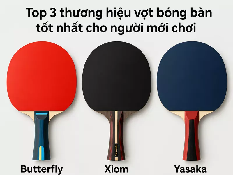 Vợt bóng bàn: Cẩm nang chọn mua chuẩn xác cho người chơi